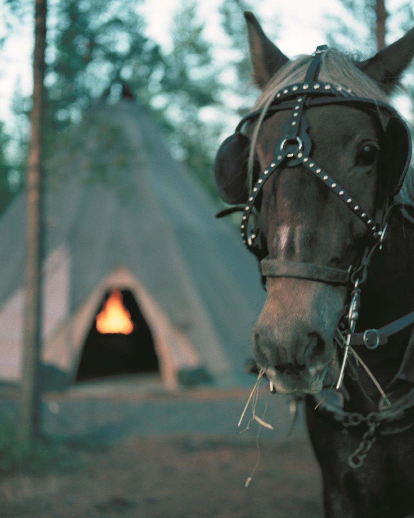 Nordkalotten Hotell & Konferens Лулео Екстер'єр фото